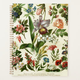 Blumen Botanik Planer