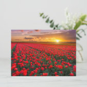 Blumen | Botanischer Garten Holland Dankeskarte (Stehend Vorderseite)