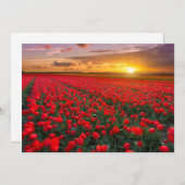 Blumen | Botanischer Garten Holland Dankeskarte (Vorne/Hinten)