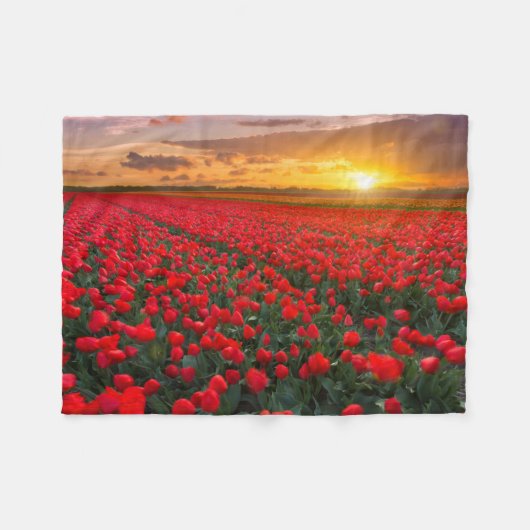 Blumen | Botanischer Garten Holland Fleecedecke (Vorderseite (Horizontal))