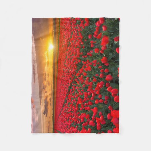 Blumen | Botanischer Garten Holland Fleecedecke (Vorderseite)