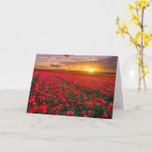 Blumen | Botanischer Garten Holland Karte (Gelbe Blume)