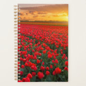 Blumen | Botanischer Garten Holland Planer (Vorderseite)