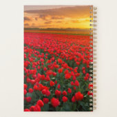 Blumen | Botanischer Garten Holland Planer (Rückseite)