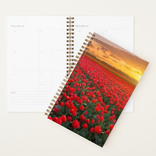 Blumen | Botanischer Garten Holland Planer (Anzeige)