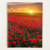 Blumen | Botanischer Garten Holland Planer (Vorderseite)