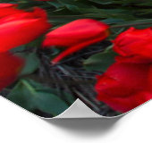 Blumen | Botanischer Garten Holland Poster (Ecke)