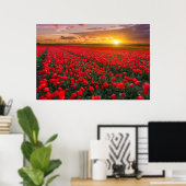 Blumen | Botanischer Garten Holland Poster (Heimbüro)