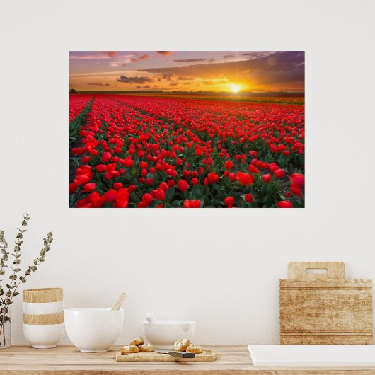 Blumen | Botanischer Garten Holland Poster (Küche)