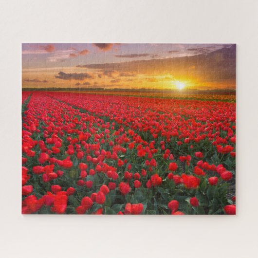 Blumen | Botanischer Garten Holland Puzzle (Horizontal)