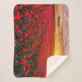 Blumen | Botanischer Garten Holland Sherpadecke (Vorderseite)