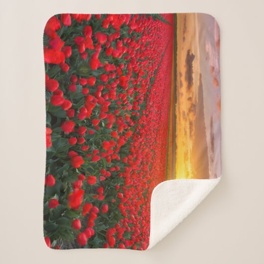 Blumen | Botanischer Garten Holland Sherpadecke (Vorderseite)