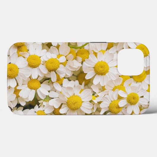 Blumen | Bündel von Chamomiles Case-Mate iPhone Hülle (Rückseite (Horizontal))