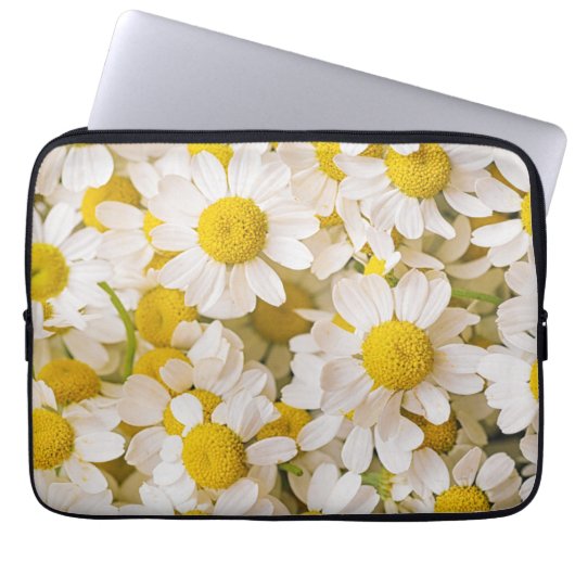 Blumen | Bündel von Chamomiles Laptopschutzhülle (Vorderseite)