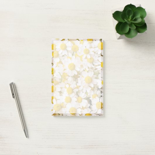 Blumen | Bündel von Chamomiles Post-it Klebezettel (Büro)