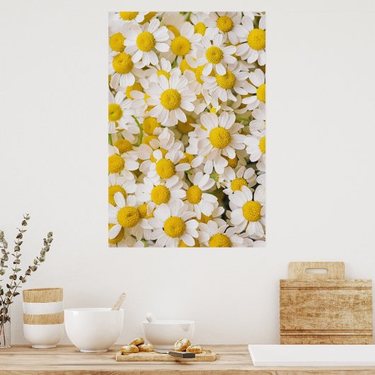 Blumen | Bündel von Chamomiles Poster (Küche)