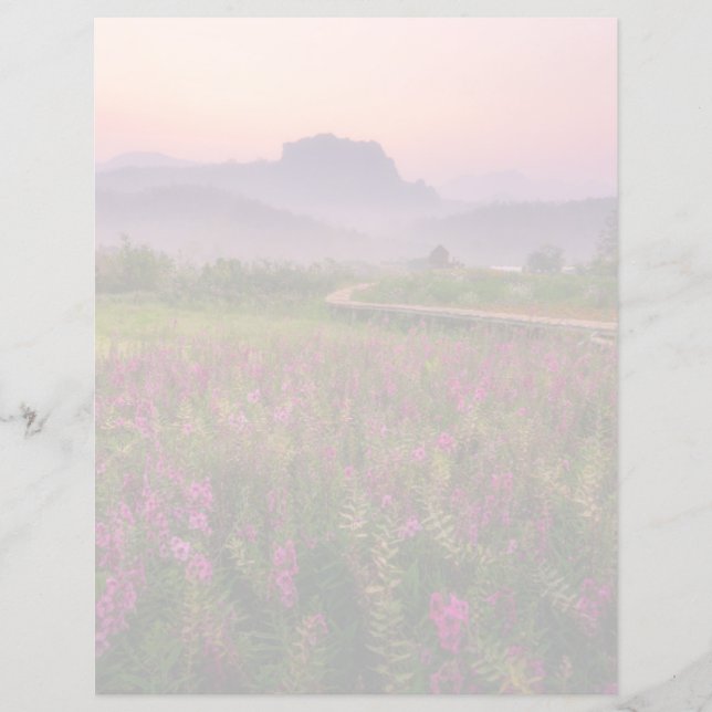 Blumen | Chiang Dao, Chiang Mai, Thailand (Vorderseite)