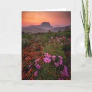 Blumen   Chiang Dao, Chiang Mai, Thailand Karte