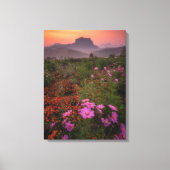 Blumen | Chiang Dao, Chiang Mai, Thailand Leinwanddruck (Vorderseite)