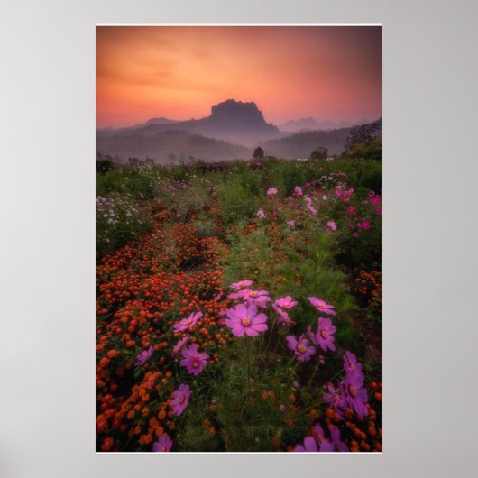 Blumen | Chiang Dao, Chiang Mai, Thailand Poster (Vorne)