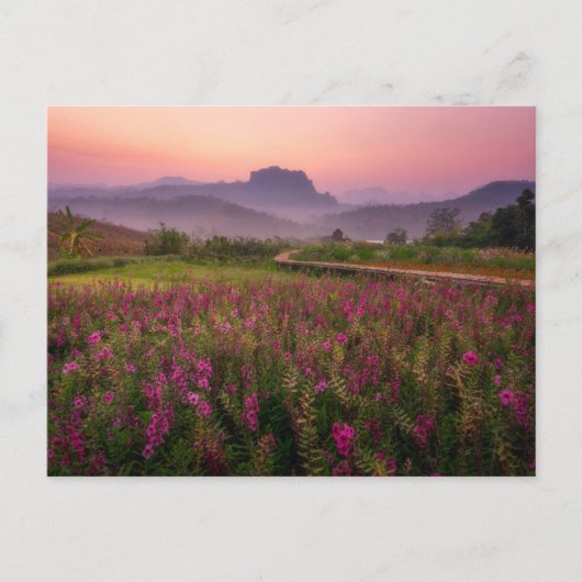 Blumen | Chiang Dao, Chiang Mai, Thailand Postkarte (Vorderseite)