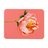 Blumen | Coral Peony Blossom Magnet (Horizontal)