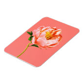 Blumen | Coral Peony Blossom Magnet (Linke Seite)