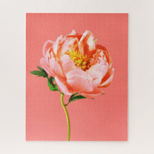 Blumen Coral Peony Blossom Puzzle
