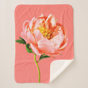 Blumen   Coral Peony Blossom Sherpadecke