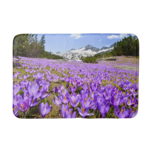 Blumen Crocus Pirin Mountain Park Bulgarien Badematte
