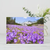 Blumen | Crocus Pirin Mountain Park Bulgarien Dankeskarte (Stehend Vorderseite)