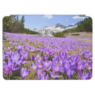 Blumen   Crocus Pirin Mountain Park Bulgarien iPad Air Hülle