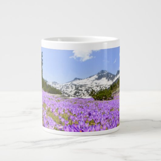 Blumen | Crocus Pirin Mountain Park Bulgarien Jumbo-Tasse (Vorderseite)