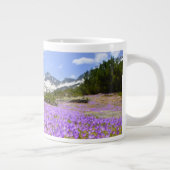 Blumen | Crocus Pirin Mountain Park Bulgarien Jumbo-Tasse (Rechts)