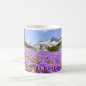 Blumen | Crocus Pirin Mountain Park Bulgarien Kaffeetasse (Mittel)
