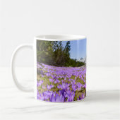 Blumen | Crocus Pirin Mountain Park Bulgarien Kaffeetasse (Links)