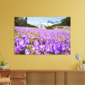 Blumen | Crocus Pirin Mountain Park Bulgarien Leinwanddruck (Insitu (Wohnzimmer))