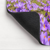 Blumen | Crocus Pirin Mountain Park Bulgarien Mousepad (Ecke)