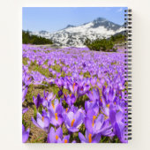 Blumen | Crocus Pirin Mountain Park Bulgarien Notizblock (Rückseite)