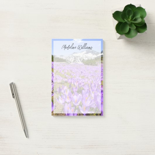Blumen | Crocus Pirin Mountain Park Bulgarien Post-it Klebezettel (Büro)