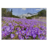 Blumen | Crocus Pirin Mountain Park Bulgarien Schneidebrett (Vorderseite)