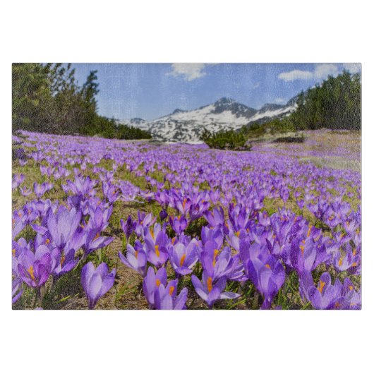 Blumen | Crocus Pirin Mountain Park Bulgarien Schneidebrett (Vorderseite)