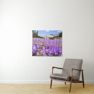 Blumen Crocus Pirin Mountain Park Bulgarien Wandteppich