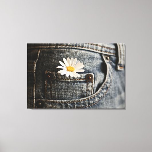 Blumen | Daisy in Jeans Pocket Leinwanddruck (Vorderseite)
