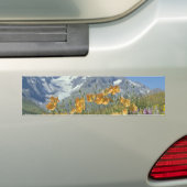 Blumen der Button-Alpen, Frankreich Autoaufkleber (Auf Auto)