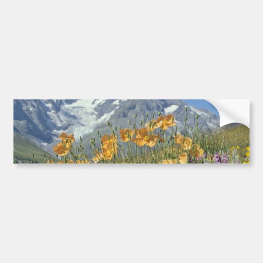 Blumen der Button-Alpen, Frankreich Autoaufkleber (Vorne)