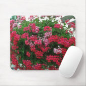 Blumen der Efeu-Pelargonie (Pelargonie Peltatum) Mousepad (Mit Mouse)