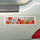 Blumen der gemeinen Mohnblume auf einem Gebiet Autoaufkleber (Auf Auto)