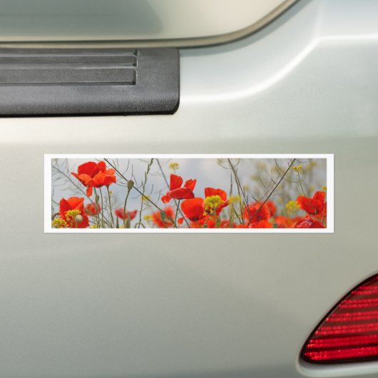Blumen der gemeinen Mohnblume auf einem Gebiet Autoaufkleber (Auf Auto)
