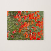 Blumen der gemeinen Mohnblume auf einem Gebiet Puzzle (Horizontal)